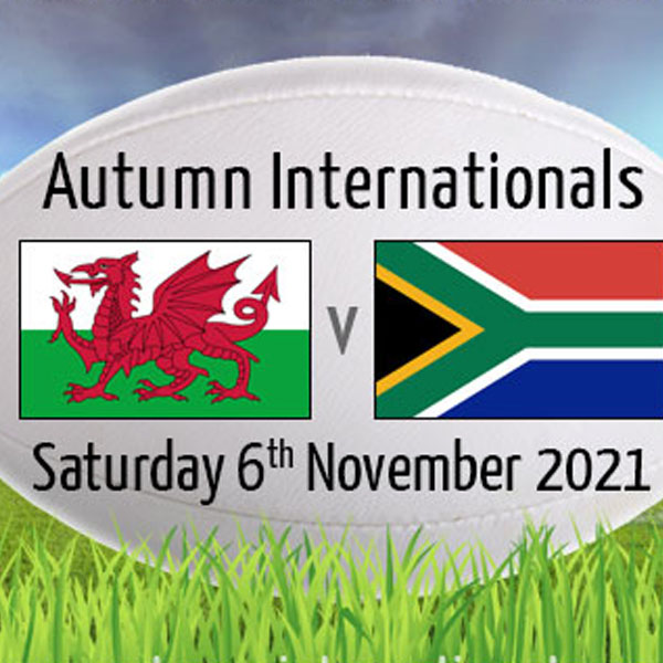 wales-v-south-africa2